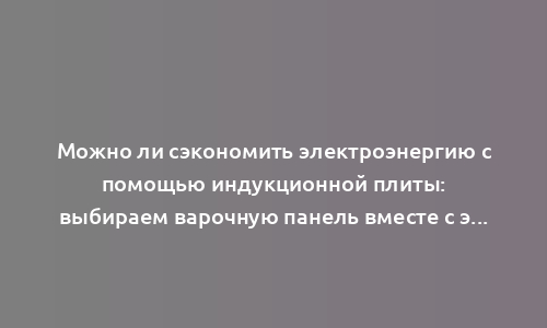 Можно ли сэкономить электроэнергию с помощью индукционной плиты: выбираем варочную панель вместе с экспертом