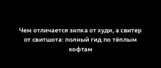 Чем отличается зипка от худи, а свитер от свитшота: полный гид по тёплым кофтам