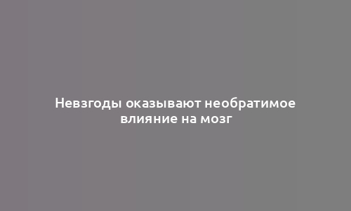 Невзгоды оказывают необратимое влияние на мозг