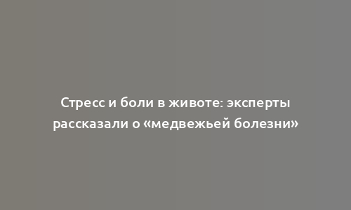 Стресс и боли в животе: эксперты рассказали о «медвежьей болезни»