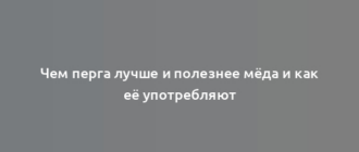 Чем перга лучше и полезнее мёда и как её употребляют