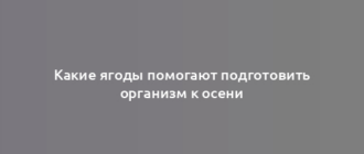 Какие ягоды помогают подготовить организм к осени