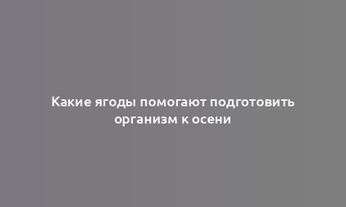 Какие ягоды помогают подготовить организм к осени