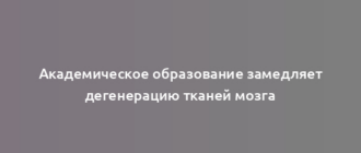 Академическое образование замедляет дегенерацию тканей мозга