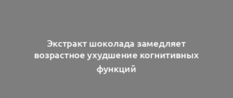 Экстракт шоколада замедляет возрастное ухудшение когнитивных функций