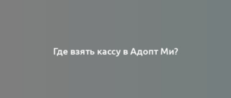 Где взять кассу в Адопт Ми?