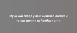 Мужской склад ума и женская логика с точки зрения нейробиологии